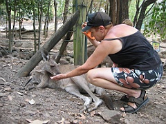 121 Cairns Tropical Zoo